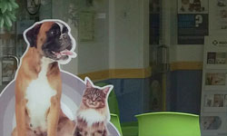 Fachada Clínica Veterinária de Abrantes