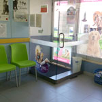 Sala de Espera Clínica Veterinária de Abrantes